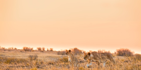 East Africa Safari Couples holiday experience